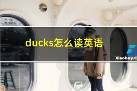 ducks怎么读英语