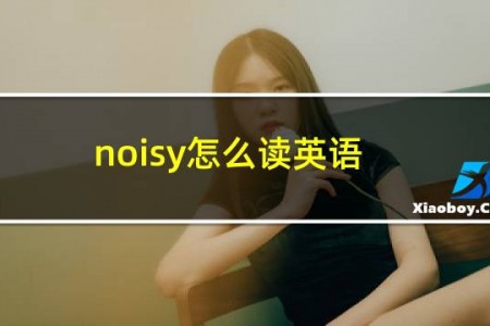 noisy怎么读英语