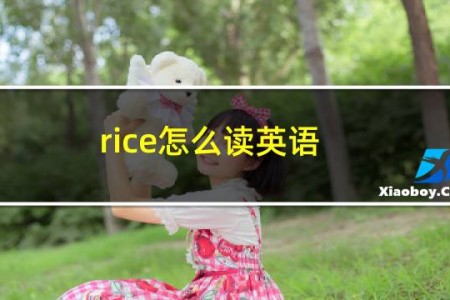 rice怎么读英语