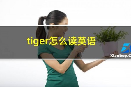 tiger怎么读英语